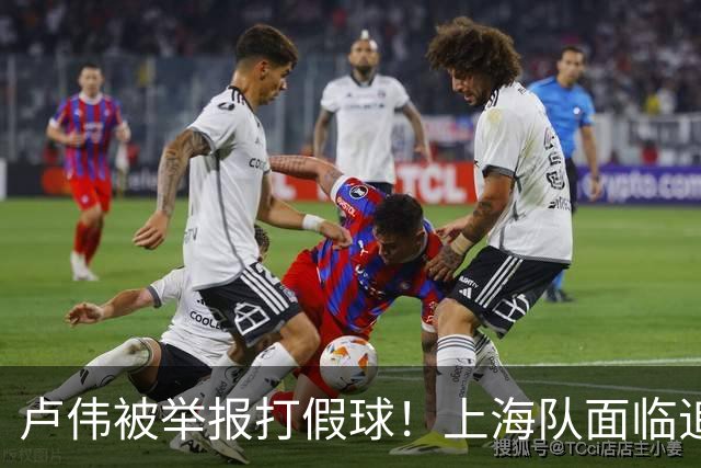 卢伟被举报打假球！上海队面临追罚，张镇麟坑惨球队